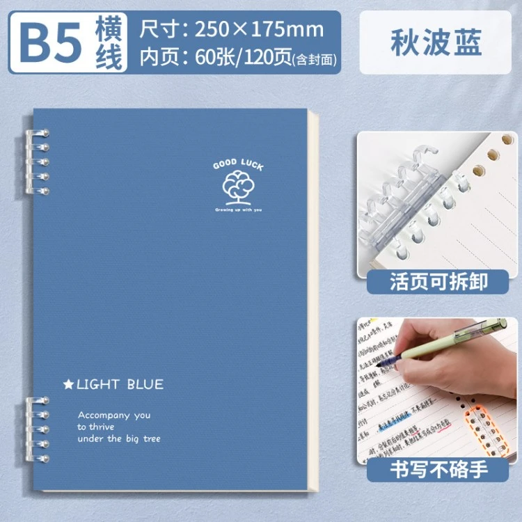 Loose-leaf notebook design 10