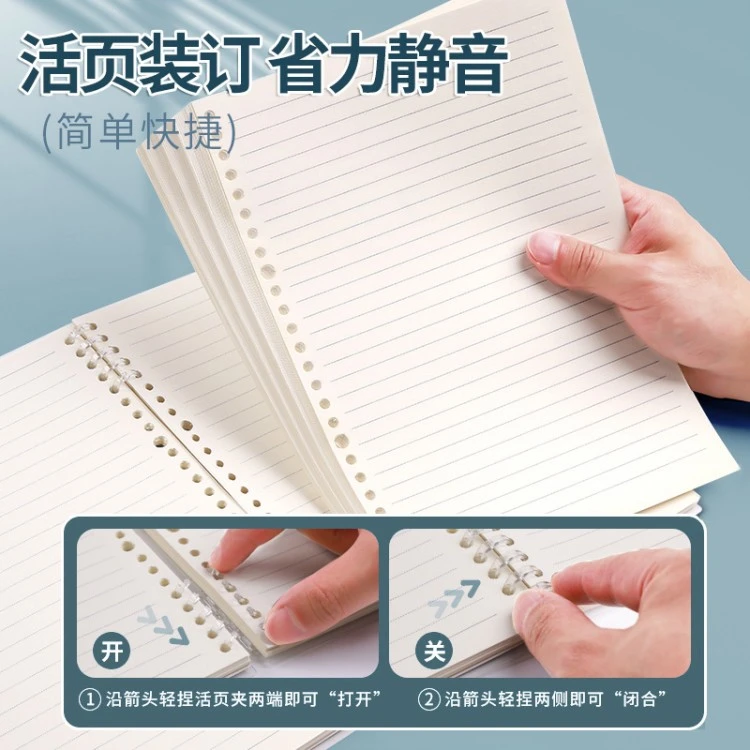 Loose-leaf notebook design 6