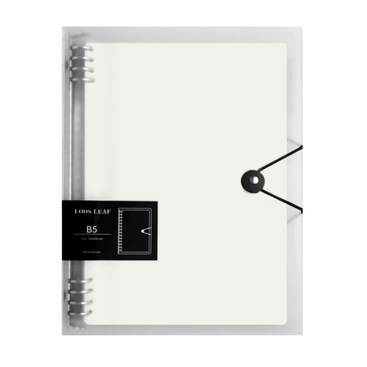 JOYPAPER replaceable inner pages notebook with four-clip binding and frosted PP cover