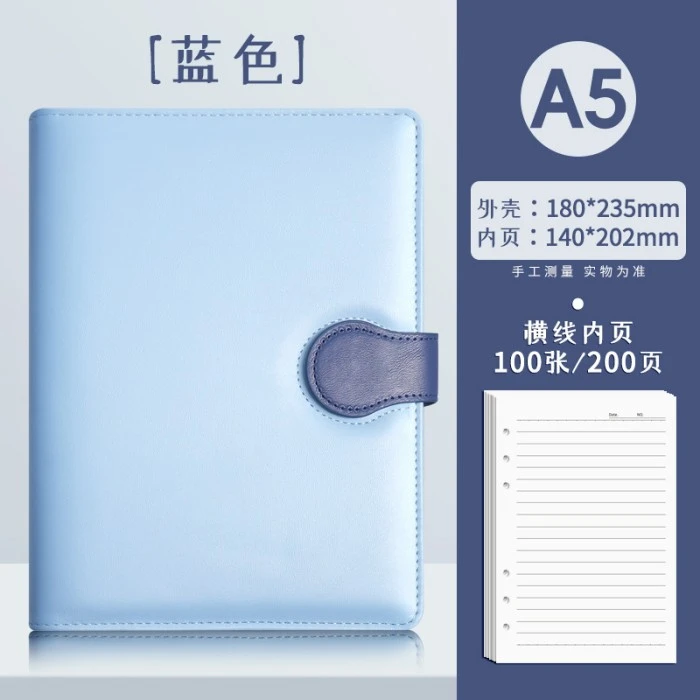 Loose Leaf Planner Color Option 1
